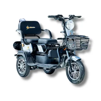 Triciclu electric Go Ride, autonomie 50km, viteza maxima 25km/h, JP800DQZ-3